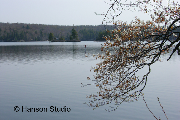 Stoddard, NH - Island Pond - spring